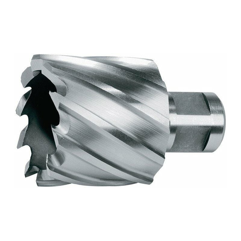 

Taladro de núcleo D.52mm HSS-Co5 Corte compacto-T.30mm Weldon RUKO