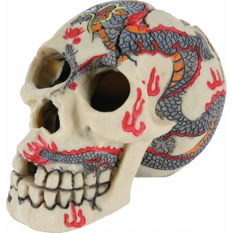 

Zolux - Tamaño de la decoración del cráneo S ø aprox. 7 cm