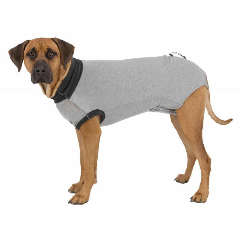 

Trixie - Tamaño del cuerpo protector M para perros