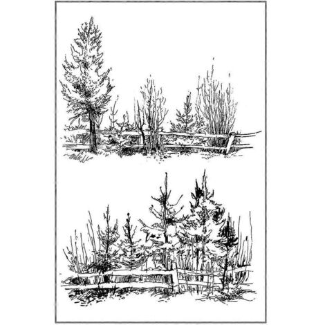 Tampon en silicone transparent motif forêt - Fournitures pour la création de cartes de mariage et de Noël