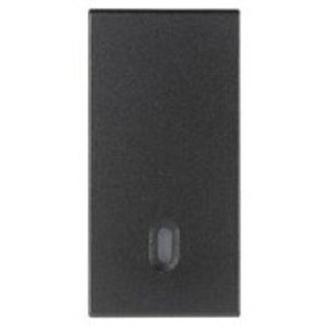 Tapa intercambiable Vimar Arke para interruptores de desvío conectados Gris 19021