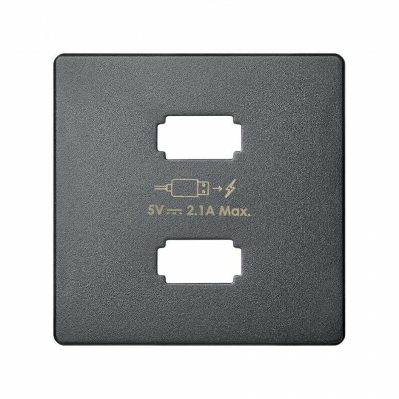 

Tapa para cargador USB 2 conectores 82 Concept 8211096-096 Titanio - Simon