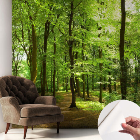 Tapete Selbstklebend - abwaschbar - Tapete mit Motiv - trendige Wanddeko - elegant Fototapete  Naturpfad 250x250 cm