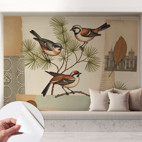 Tapete Selbstklebend - abwaschbar - Tapete mit Motiv - trendige Wanddeko - elegant Fototapete  Vogelcollage 208x146 cm