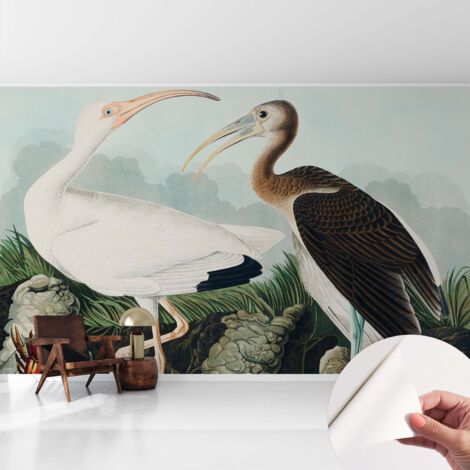 Tapete Selbstklebend - abwaschbar - Tapete mit Motiv - trendige Wanddeko - elegant Fototapete  Vogelpaar 416x254 cm