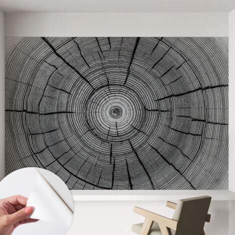 Tapete Selbstklebend - abwaschbar - Tapete mit Motiv - trendige Wanddeko - elegant Fototapete Waldharmonie 152x104 cm
