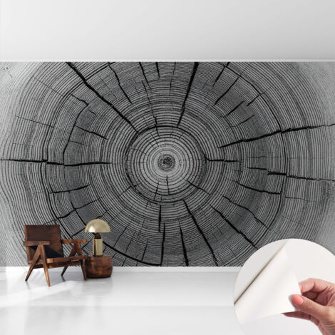 Tapete Selbstklebend - abwaschbar - Tapete mit Motiv - trendige Wanddeko - elegant Fototapete Waldharmonie 416x254 cm