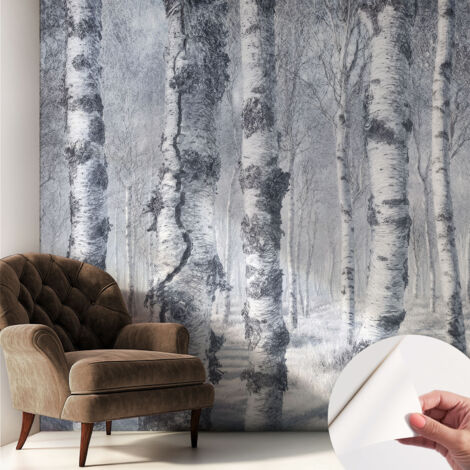 Tapete Selbstklebend - Fototapete mit Motiv - Wandtapete modern - Wanddeko Frostige Natur 250x250 cm