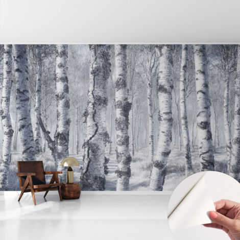 Tapete Selbstklebend - Fototapete mit Motiv - Wandtapete modern - Wanddeko Frostige Natur 416x254 cm