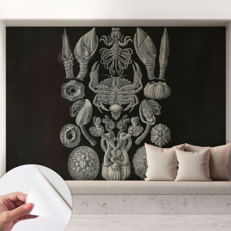 Tapete Selbstklebend - Fototapete mit Motiv - Wandtapete modern - Wanddeko Unterwasserformen 208x146 cm