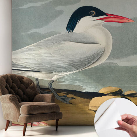 Tapete Selbstklebend - Fototapete mit Motiv - Wandtapete modern - Wandgestaltung Meereslandschaft 250x250 cm