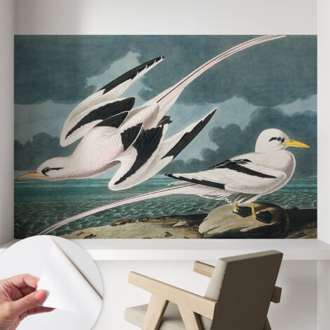 Tapete Selbstklebend - Fototapete mit Motiv - Wandtapete modern - Wandgestaltung Vögel am Meer 104x70 cm