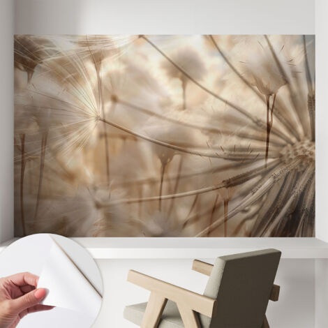 Tapete Selbstklebend - Fototapete mit Motiv - Wandtapete modern - Wandgestaltung Zarte Pusteblumen 104x70 cm
