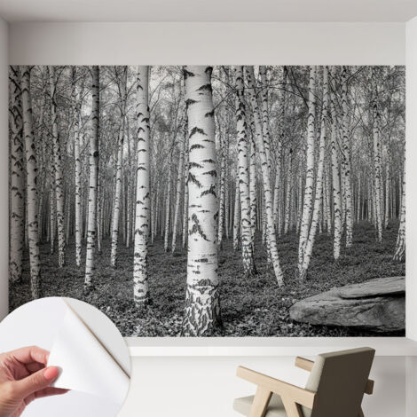 Tapete Selbstklebend - modernes Design - Wohnungsdeko - geruchslos - langlebig Birkenwald 152x104 cm