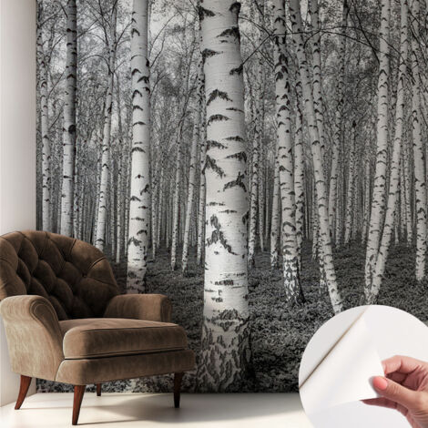Tapete Selbstklebend - modernes Design - Wohnungsdeko - geruchslos - langlebig Birkenwald 250x250 cm