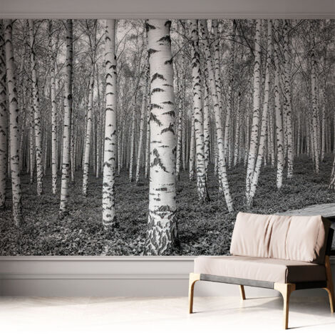 Tapete Selbstklebend - modernes Design - Wohnungsdeko - geruchslos - langlebig Birkenwald 312x219 cm