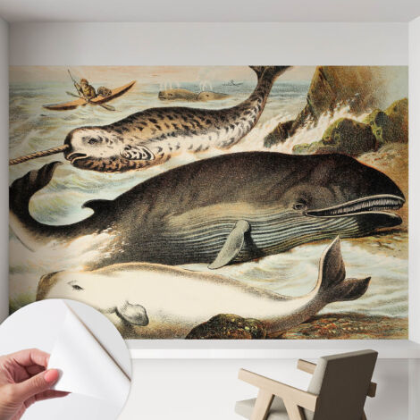 Tapete Selbstklebend - modernes Design - Wohnungsdeko - geruchslos - langlebig Meeresriesen 152x104 cm