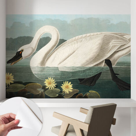 Tapete Selbstklebend - modernes Design - Wohnungsdeko - geruchslos - langlebig Schwan und Seerosen 104x70 cm