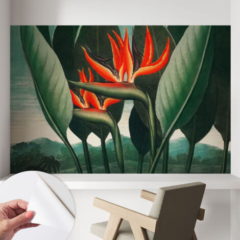 Tapete Selbstklebend - Wandtapete modern - Tapete mit Motiv - Tapete Schlafzimmer Exotische Blumen 104x70 cm