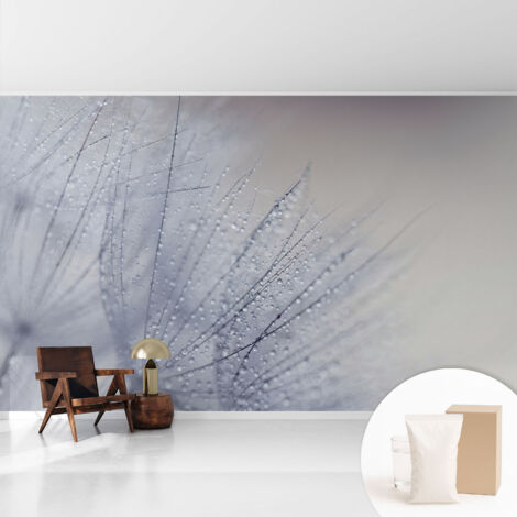 Tapete Tapete Vliestapete mit Kleber - Fototapete mit Motiv - Wandtapete modern - Wanddeko Bespritzter Löwenzahn 416x254 cm