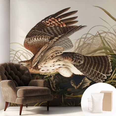 Tapete Tapete Vliestapete mit Kleber - Fototapete mit Motiv - Wandtapete modern - Wanddeko Geflügelte Schönheit 250x250 cm