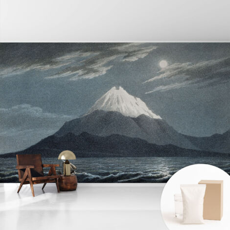 Tapete Tapete Vliestapete mit Kleber - Fototapete mit Motiv - Wandtapete modern - Wanddeko Mondnacht 416x254 cm