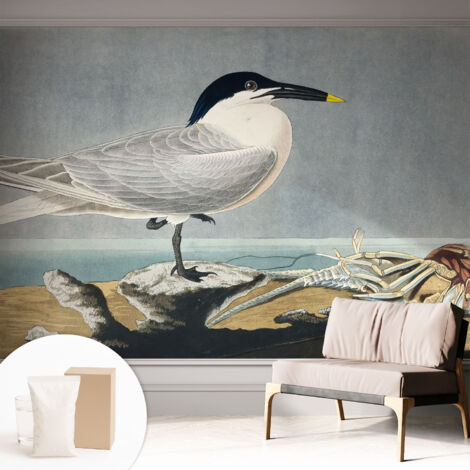 Tapete Tapete Vliestapete mit Kleber - Fototapete mit Motiv - Wandtapete modern - Wanddeko Ornithologische Eleganz 312x219 cm