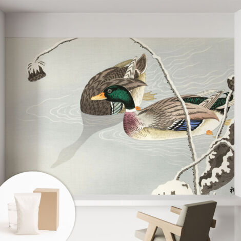 Tapete Vliestapete mit Kleber - abwaschbar - Arbeitszimmer - Esszimmer- Top Qualität Ruhige Enten 152x104 cm