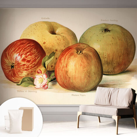 Tapete Vliestapete mit Kleber- abwaschbar - Raumgestaltung  Schlafzimmer Wohnzimmer Tapete Äpfel und Blumen 312x219 cm