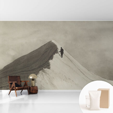 Tapete Vliestapete mit Kleber- abwaschbar - Raumgestaltung Schlafzimmer Wohnzimmer Tapete Einsamer Kletterer 416x254 cm