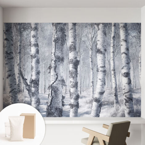 Tapete Vliestapete mit Kleber- abwaschbar - Raumgestaltung  Schlafzimmer Wohnzimmer Tapete Frostige Natur 152x104 cm