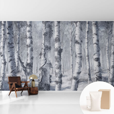 Tapete Vliestapete mit Kleber- abwaschbar - Raumgestaltung  Schlafzimmer Wohnzimmer Tapete Frostige Natur 416x254 cm