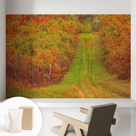 Tapete Vliestapete mit Kleber- abwaschbar - Raumgestaltung Schlafzimmer Wohnzimmer Tapete Herbstfarben 104x70 cm