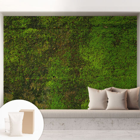 Tapete Vliestapete mit Kleber - abwaschbar - Tapete mit Motiv - trendige Wanddeko - elegant Fototapete  Grüner Teppich 208x146 cm
