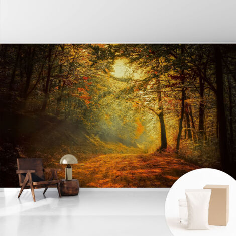 Tapete Vliestapete mit Kleber - abwaschbar - Tapete mit Motiv - trendige Wanddeko - elegant Fototapete  Herbstlandschaft 416x254 cm