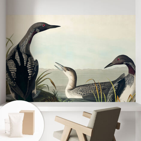 Tapete Vliestapete mit Kleber - abwaschbar - Tapete mit Motiv - trendige Wanddeko - elegant Fototapete  Vögel am Wasser 104x70 cm