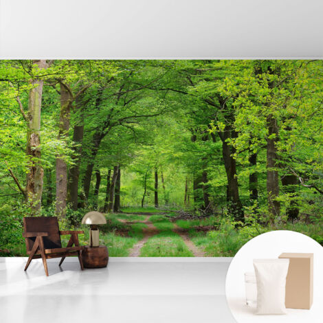 Tapete Vliestapete mit Kleber - abwaschbar - Tapete mit Motiv - trendige Wanddeko - elegant Fototapete Waldweg 416x254 cm