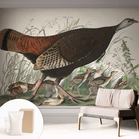 Tapete Vliestapete mit Kleber - Fototapete mit Motiv - Wandtapete modern - Wandgestaltung Natürliche Harmonie 312x219 cm