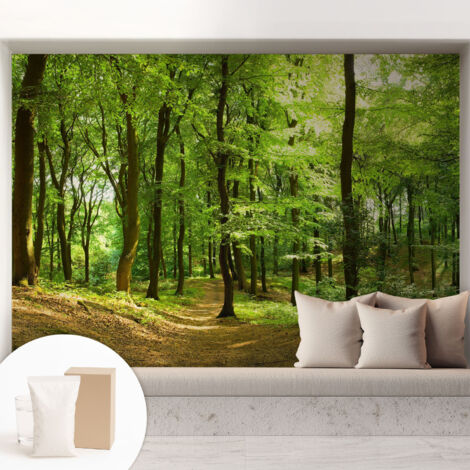 Tapete Vliestapete mit Kleber - Fototapete mit Motiv - Wandtapete modern - Wandgestaltung Naturpfad 208x146 cm