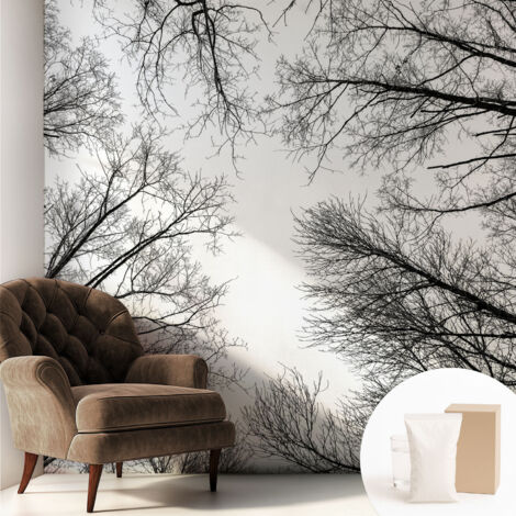 Tapete Vliestapete mit Kleber für Wohnzimmer Schlafzimmer Küche - Wanddekoration  Kahle Äste 250x250 cm