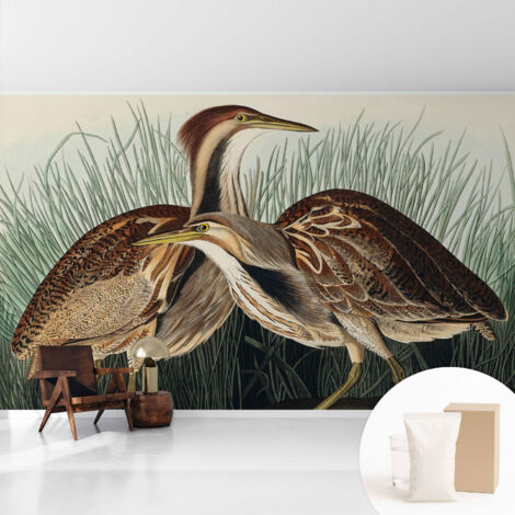 Tapete Vliestapete mit Kleber für Wohnzimmer Schlafzimmer Küche - Wanddekoration  Realistische Vögel 416x254 cm