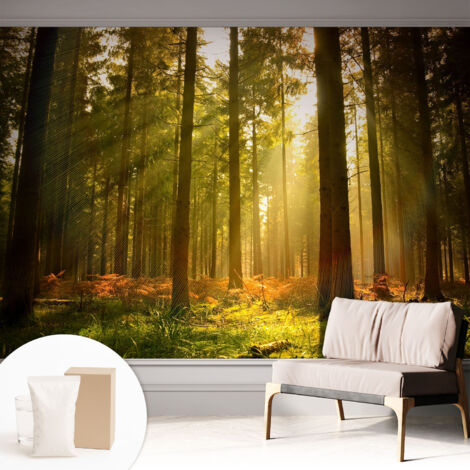 Tapete Vliestapete mit Kleber für Wohnzimmer Schlafzimmer Küche - Wanddekoration  Waldmorgen 312x219 cm