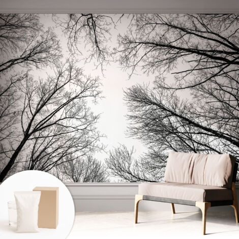 Tapete Vliestapete mit Kleber modern - Wanddeko für Küche - Klebefolie Wand - luxus Look Kahle Äste 312x219 cm