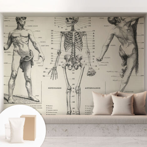Tapete Vliestapete mit Kleber modern - Wanddeko für Küche - Klebefolie Wand - luxus Look Klassische Anatomie 208x146 cm