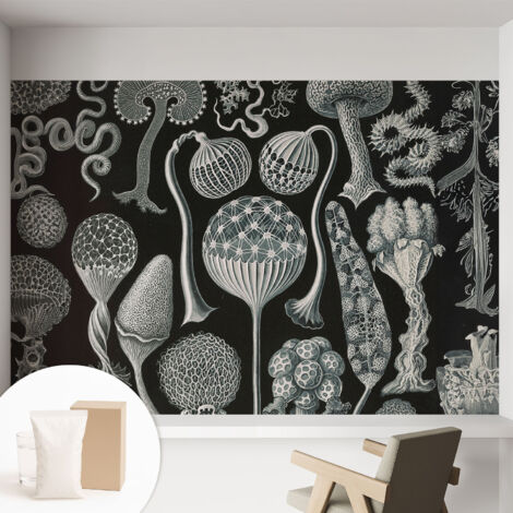 Tapete Vliestapete mit Kleber modern - Wanddeko für Küche - Klebefolie Wand - luxus Look Magische Pflanzen 152x104 cm