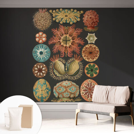Tapete Vliestapete mit Kleber modern - Wanddeko für Küche - Klebefolie Wand - luxus Look Meeresinspirationen 312x219 cm