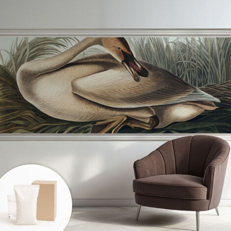 Tapete Vliestapete mit Kleber modern - Wanddeko für Küche - Klebefolie Wand - luxus Look Natürlicher Vogel 250x104 cm