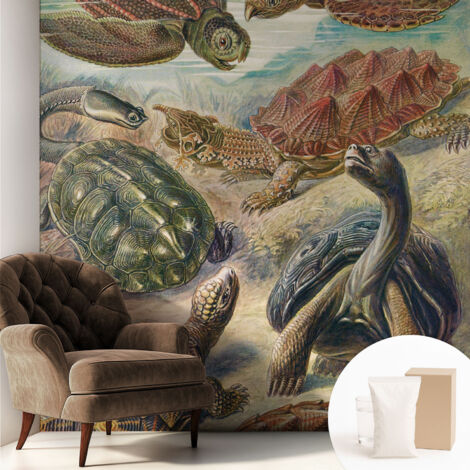 Tapete Vliestapete mit Kleber modern - Wanddeko für Küche - Klebefolie Wand - luxus Look Schildkrötenfauna 250x250 cm
