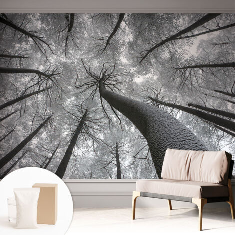 Tapete Vliestapete mit Kleber modern - Wanddeko für Küche - Klebefolie Wand - luxus Look Winterlandschaft 312x219 cm