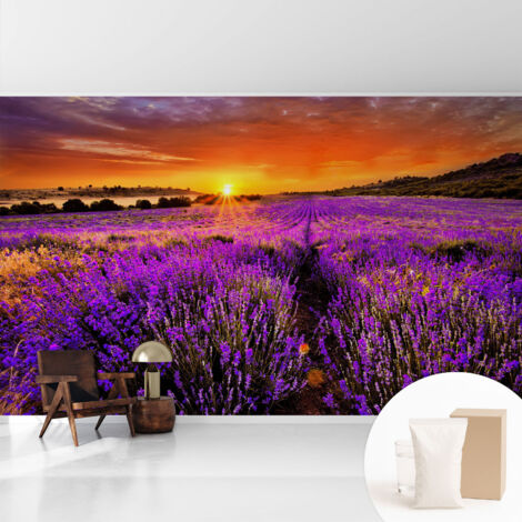 Tapete Vliestapete mit Kleber modern Wohnzimmer - Wanddeko Schlafzimmer - Tapete mit Motiv Lavendelfarbener Sonnenuntergang 416x254 cm